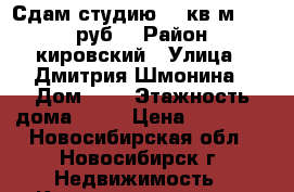 Сдам студию 24 кв.м. 12000 руб  › Район ­ кировский › Улица ­ Дмитрия Шмонина › Дом ­ 2 › Этажность дома ­ 10 › Цена ­ 12 000 - Новосибирская обл., Новосибирск г. Недвижимость » Квартиры аренда   